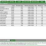best large cap growth funds